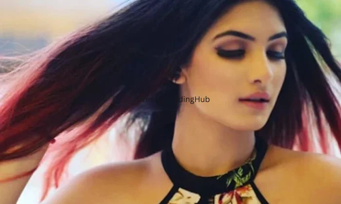 Palette By Ankita Maingi